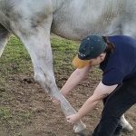 5 Perfect Yoga Learning Tips  You Should Know